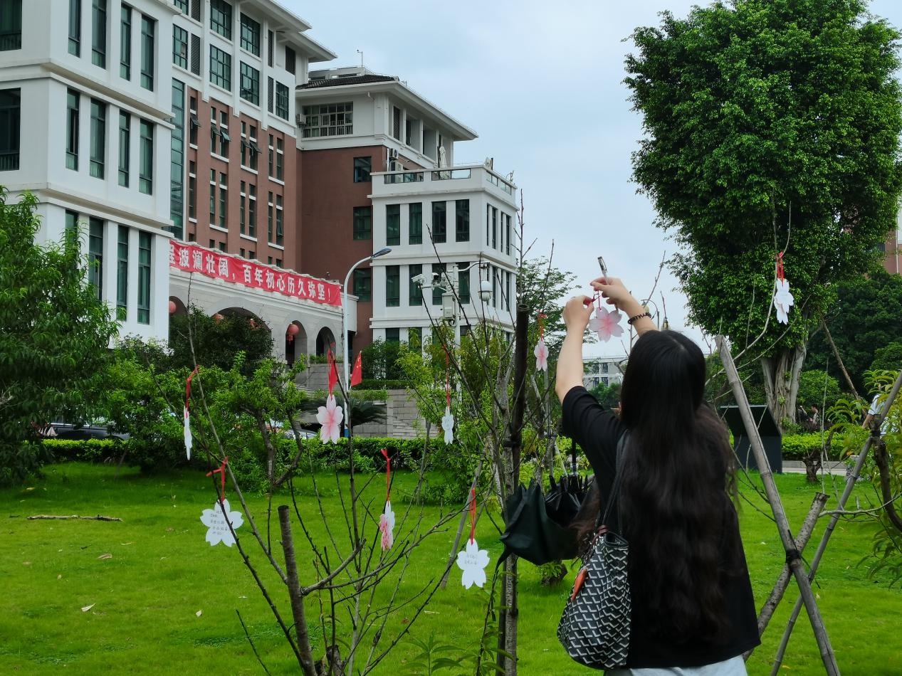 图片6.jpg