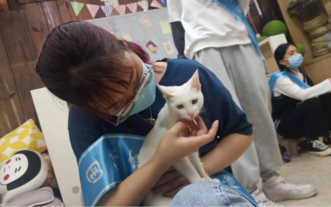图四  国商系2020级国贸专业沈博照顾做完手术的猫咪.jpg