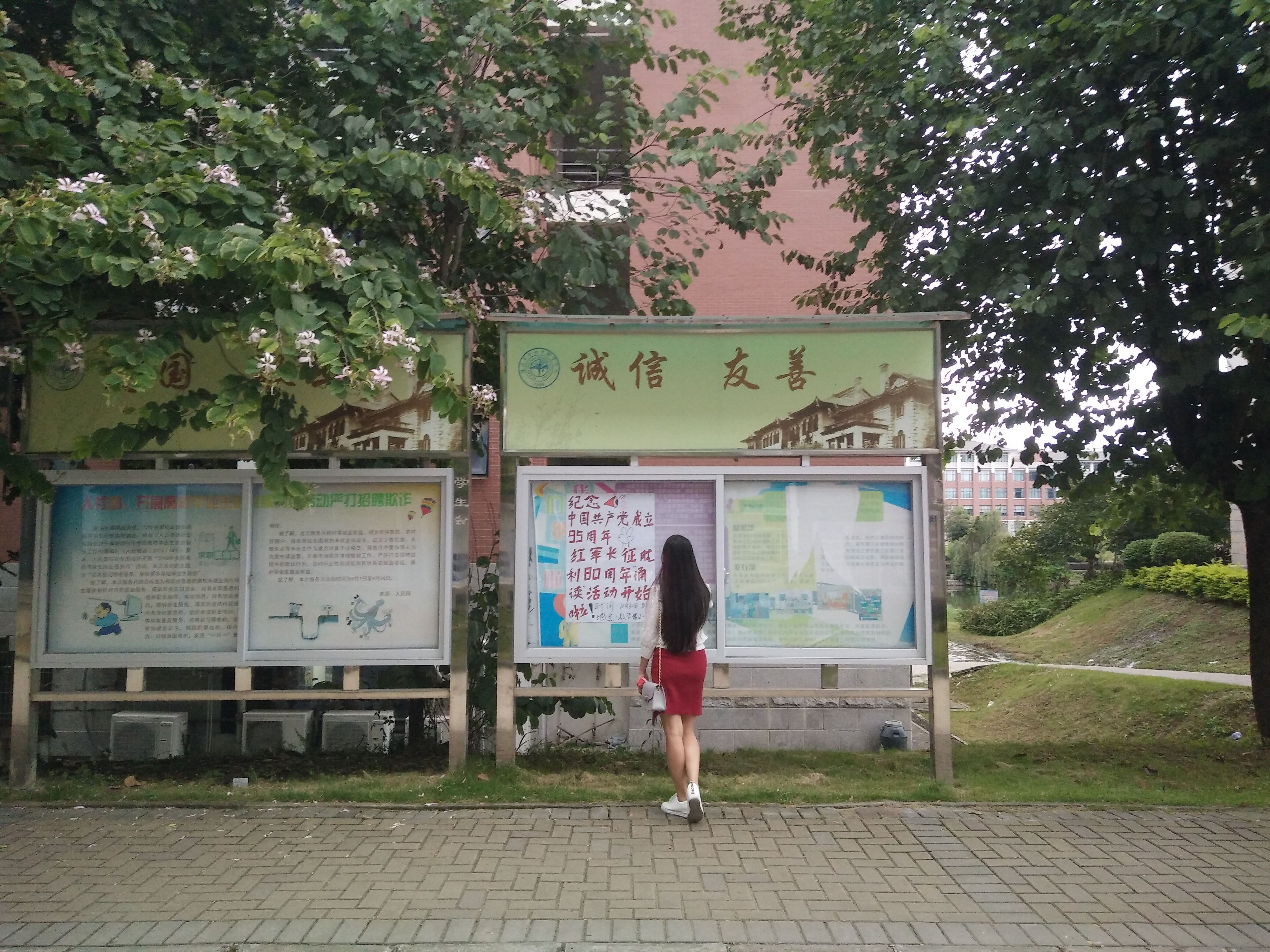 QQ图片20161103001401.jpg