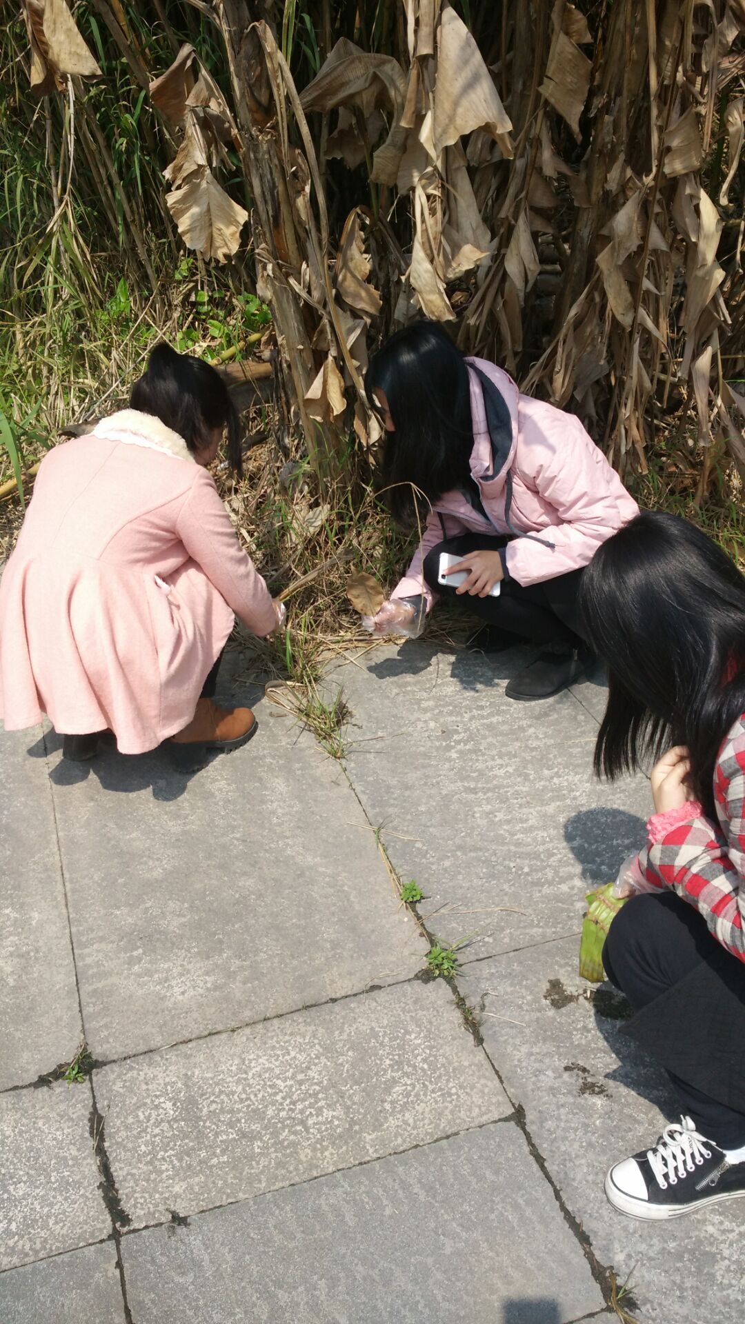 在国屿山下清理落叶.jpg