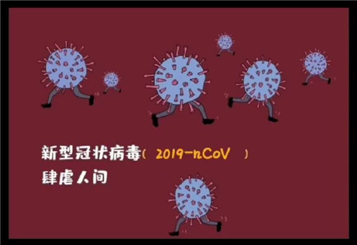 图片4_副本.jpg