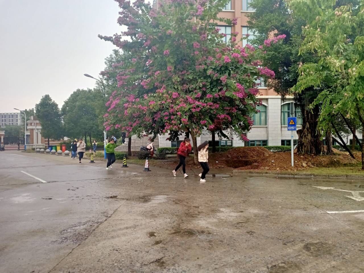 QQ图片20191231102514.jpg