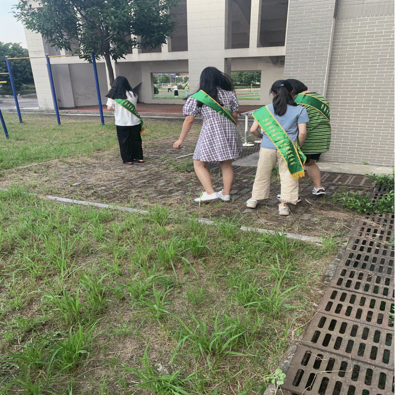 志33.gif