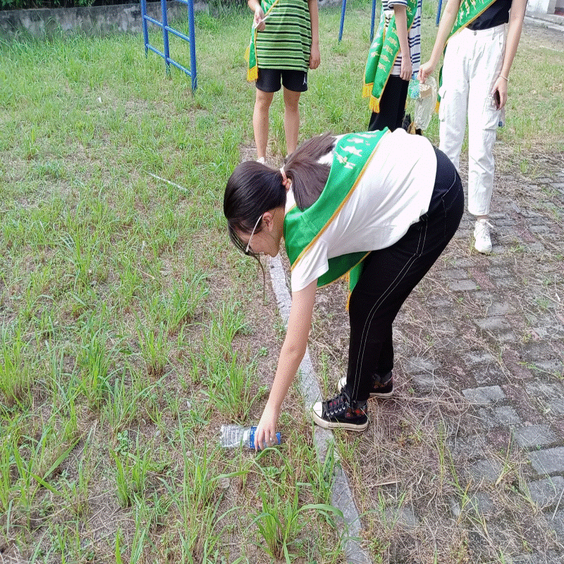 志55.gif