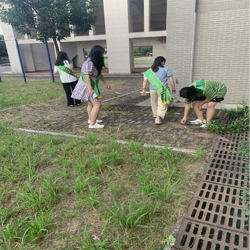 志11.gif