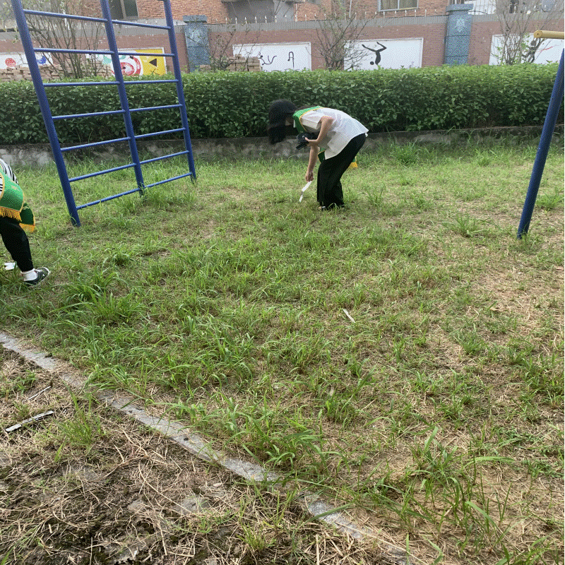 志44.gif