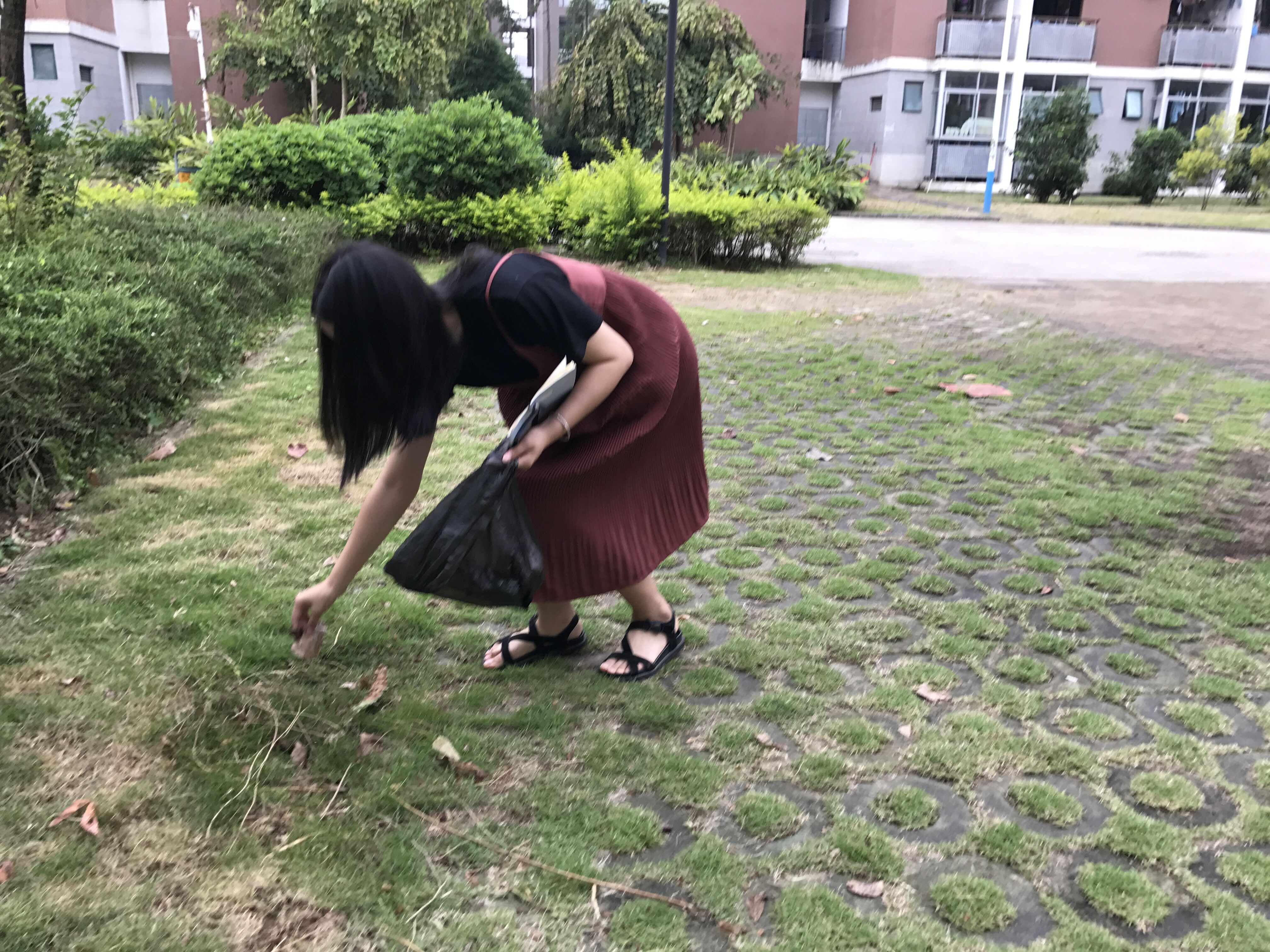 打扫专家楼附近区域.jpg